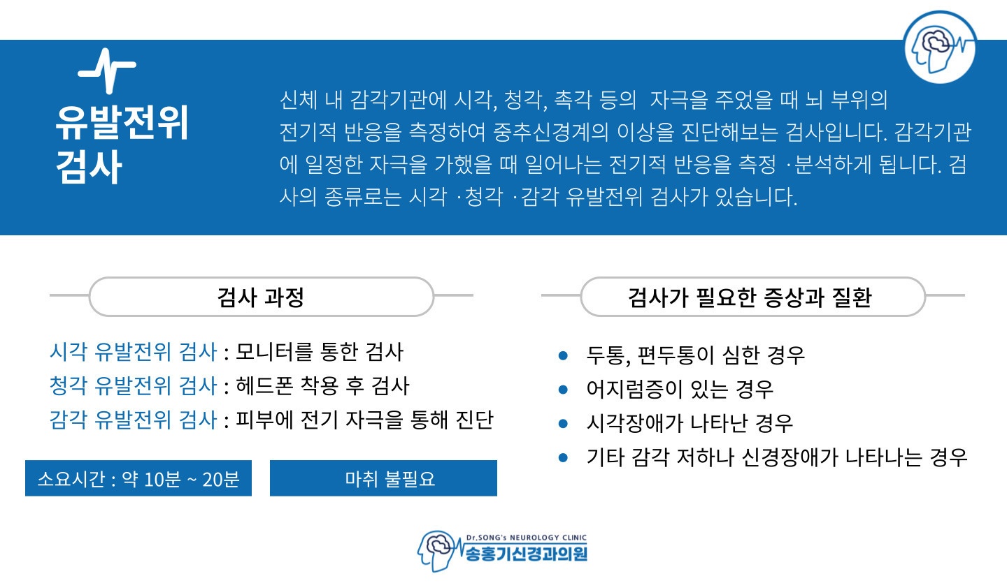 유발전위 검사.jpeg
